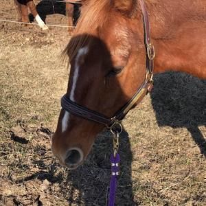 Meet your Posher, Natalie